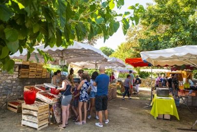 Marchés Ardèche Vogüé© Matthieu Dupont